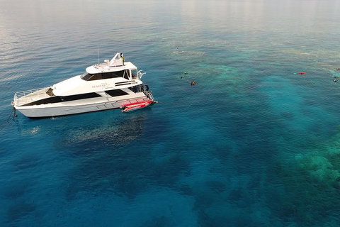 Seastar Luxury Outer Great Barrier Reef Island And Reef Tour From Cairns - Accommodation NT 4