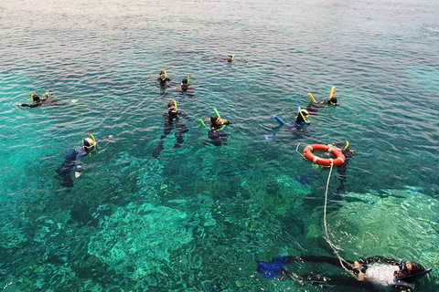 Seastar Luxury Outer Great Barrier Reef Island And Reef Tour From Cairns - Accommodation NT 7