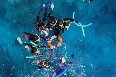 Seastar Luxury Outer Great Barrier Reef Island And Reef Tour From Cairns - Accommodation NT 6