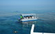 Seastar Luxury Outer Great Barrier Reef Island And Reef Tour From Cairns - thumb 3