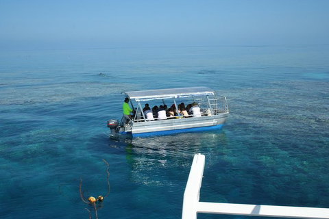 Seastar Luxury Outer Great Barrier Reef Island And Reef Tour From Cairns - Accommodation NT 3