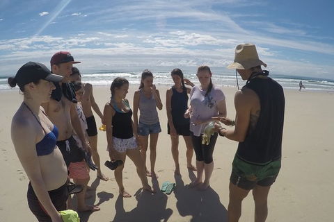 Half Day Dolphin Kayaking And Snorkeling Tour - Accommodation NT 6