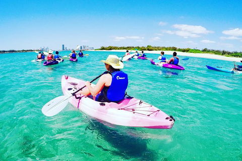 Half Day Dolphin Kayaking And Snorkeling Tour - Accommodation NT 0