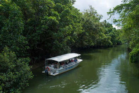 Daintree Rainforest, Cape Tribulation And Bloomfield Track Small Group Tour - Accommodation NT 5
