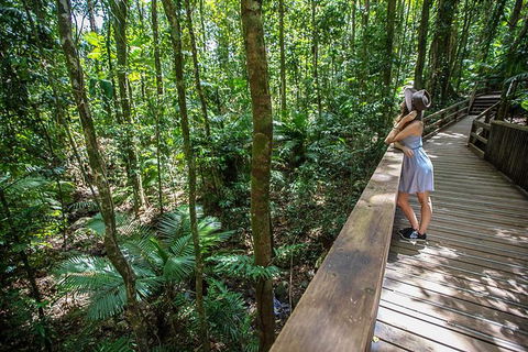 Daintree Rainforest, Cape Tribulation And Bloomfield Track Small Group Tour - Accommodation NT 3