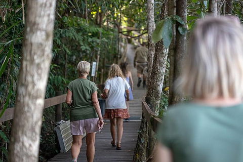 Daintree Rainforest, Cape Tribulation And Bloomfield Track Small Group Tour - Accommodation NT 15