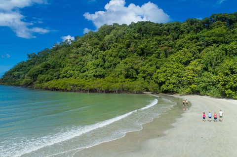 Daintree Rainforest, Cape Tribulation And Bloomfield Track Small Group Tour - Accommodation NT 2