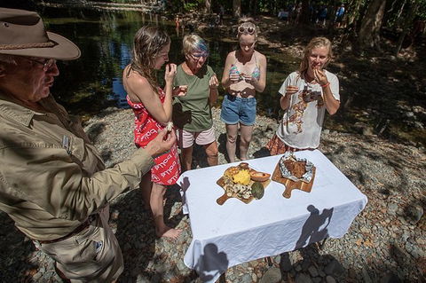 Daintree Rainforest, Cape Tribulation And Bloomfield Track Small Group Tour - Accommodation NT 10