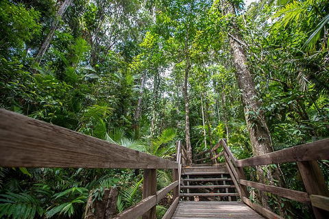 Daintree Rainforest, Cape Tribulation And Bloomfield Track Small Group Tour - Accommodation NT 13