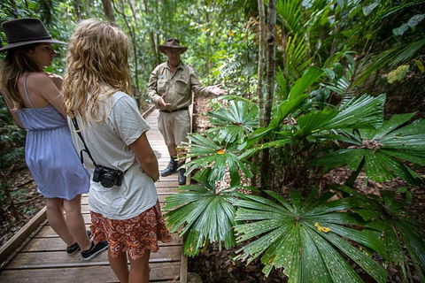 Daintree Rainforest, Cape Tribulation And Bloomfield Track Small Group Tour - Accommodation NT 12