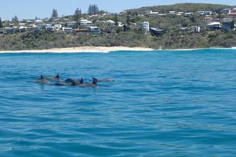 Noosa Thriller - 500hp Ocean Adventure Ride - NT Tourism 5