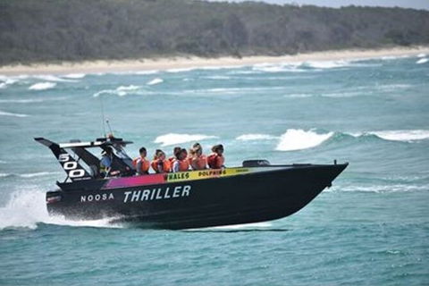 Noosa Thriller - 500hp Ocean Adventure Ride - NT Tourism 0