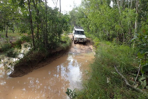 Cairns 4WD Waterfall And Rainforest Tour Including Kuranda Scenic Railway - Accommodation NT 3