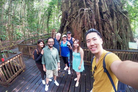 Cairns 4WD Waterfall And Rainforest Tour Including Kuranda Scenic Railway - Accommodation NT 6