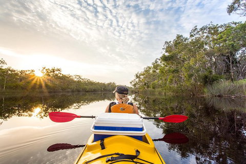 Self-Guided Noosa Everglades Kayak Tour - Accommodation NT 1