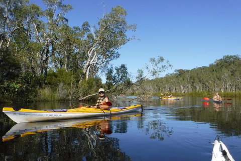 Self-Guided Noosa Everglades Kayak Tour - Accommodation NT 0