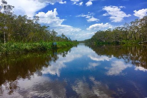 Noosa Everglades Serenity Cruise & Highlights Tour Inc. Lunch & Cruise - NT Tourism 7