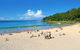 Noosa Everglades Serenity Cruise & Highlights Tour Inc. Lunch & Cruise - thumb 2