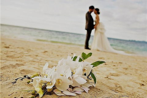 Airport Transfer - Port Douglas To Cairns Airport - Accommodation NT 1