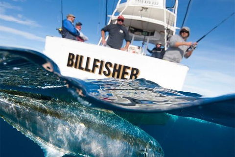 Full Day Fishing Charter Airlie Beach Whitsundays - Accommodation NT 2