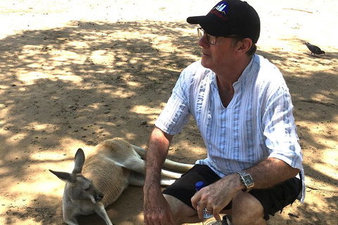 Best Of Brisbane Day Tour Incl. Lone Pine - Half Day Private Customised Tour - Accommodation NT 6