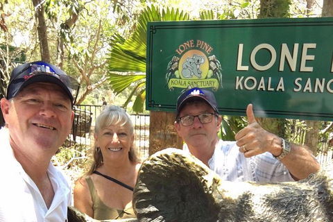 Best Of Brisbane Day Tour Incl. Lone Pine - Half Day Private Customised Tour - Accommodation NT 4