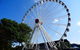 Best Of Brisbane Day Tour Incl. Lone Pine - Half Day Private Customised Tour - thumb 3