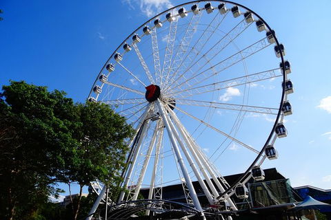 Best Of Brisbane Day Tour Incl. Lone Pine - Half Day Private Customised Tour - Accommodation NT 3