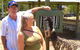 Best Of Brisbane Day Tour Incl. Lone Pine - Half Day Private Customised Tour - thumb 7