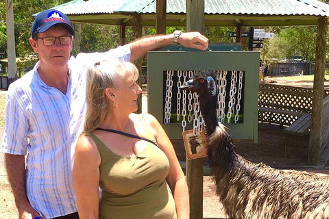 Best Of Brisbane Day Tour Incl. Lone Pine - Half Day Private Customised Tour - Accommodation NT 7