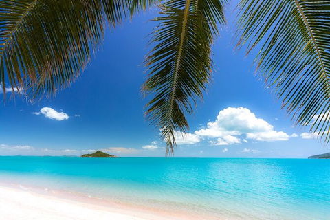 Reef, Wildlife & Rainforest - Reef & Beyond Guided Holidays - Accommodation NT 4