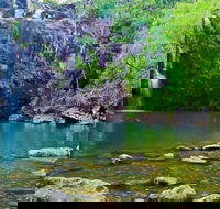 Reef Wildlife  Rainforest - Reef  Beyond Guided Holidays - Accommodation NT