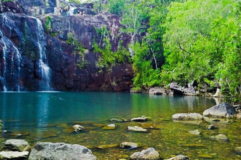Reef, Wildlife & Rainforest - Reef & Beyond Guided Holidays - Accommodation NT 0