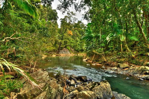 Reef, Wildlife & Rainforest - Reef & Beyond Guided Holidays - Accommodation NT 3