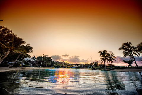 Reef, Wildlife & Rainforest - Reef & Beyond Guided Holidays - Accommodation NT 6