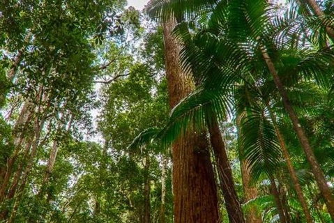 3-Day Fraser Island Hiking And 4WD Adventure From Hervey Bay - Accommodation NT 1