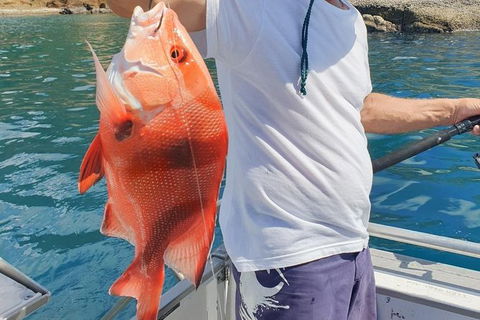 Adventure Fishing Combo Day - Fish, Swim, Whitehaven, Hill Inlet Bush Walking - Accommodation NT 2