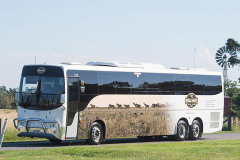 Winton Discovery Day Tour - Accommodation NT 4