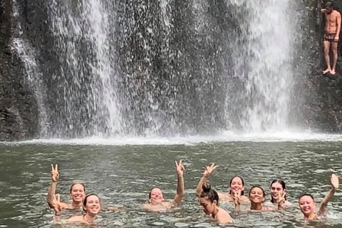 Cedar Creek Falls And Hydeaway Bay Tour - Accommodation NT 3