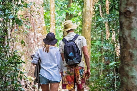 Chasing Waterfalls In The Whitsunday\'s Full Day Tour - Accommodation NT 22
