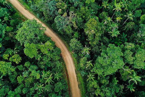 Chasing Waterfalls In The Whitsunday\'s Full Day Tour - Accommodation NT 5