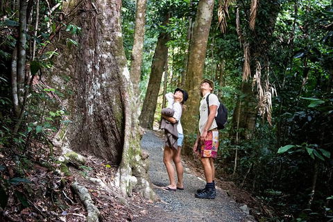 Chasing Waterfalls In The Whitsunday\'s Full Day Tour - Accommodation NT 19