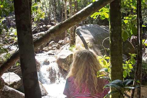 Chasing Waterfalls In The Whitsunday\'s Full Day Tour - Accommodation NT 17