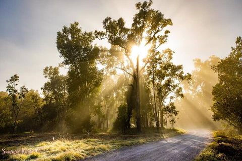 Chasing Waterfalls In The Whitsunday\'s Full Day Tour - Accommodation NT 20