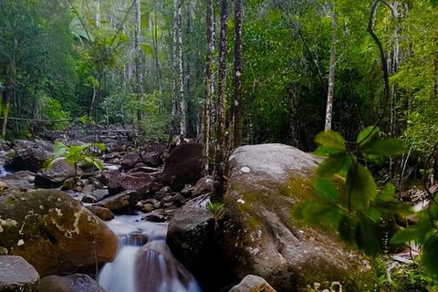 Chasing Waterfalls In The Whitsunday\'s Full Day Tour - Accommodation NT 13