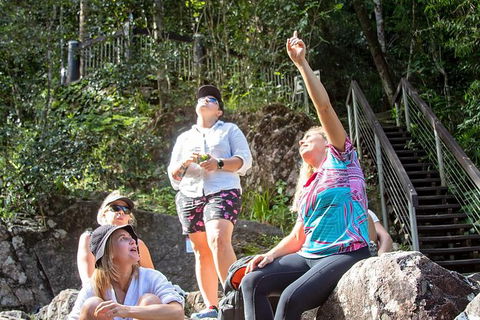 Chasing Waterfalls In The Whitsunday\'s Full Day Tour - Accommodation NT 4