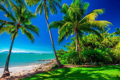 SHUTTLE - Port Douglas And Craiglie Return Transfer - Accommodation NT 2