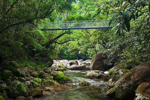 SHUTTLE - Mossman Gorge & Cooya Beach From Port Douglas (Return Transfer) - Accommodation NT 4