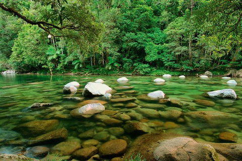 SHUTTLE - Mossman Gorge & Cooya Beach From Port Douglas (Return Transfer) - Accommodation NT 3