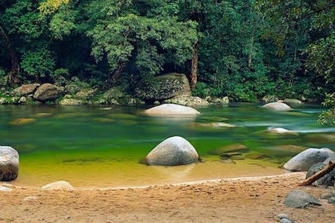SHUTTLE - Mossman Gorge & Cooya Beach From Port Douglas (Return Transfer) - Accommodation NT 1